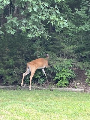 Hollis Renewal Center