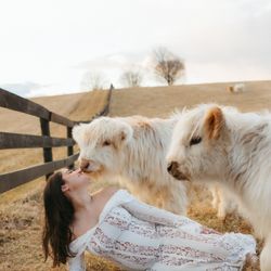 Genevieve Elaine Photography