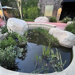 Packing House District - Pond