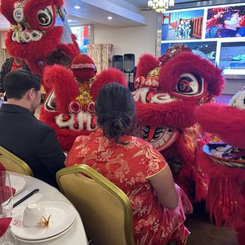Teng Fei Lion Dance - Fun Interactions! - Performing Arts Near Me Teng Fei Lion Dance - Fun Interactions! - Performing Arts Near Me