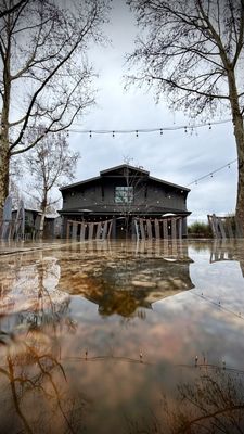 Honig Vineyard & Winery by null