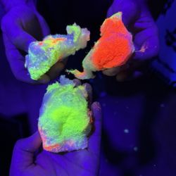 Cotton candy in the black light room