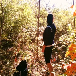 Erindale Park - Upper singletrack hiking trail