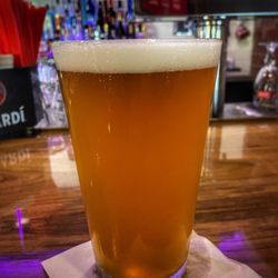 Schooners - Elysian Space Dust draught