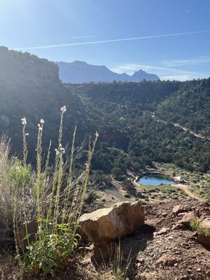 Open Sky Zion by null