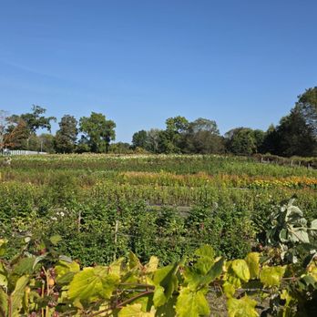 Willow View Farm - Farms Near Me - Suffield, Connecticut