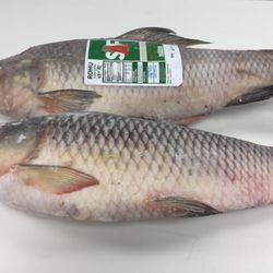 My Zabiha Halal Meat - Rohu fish! Our favorite :)