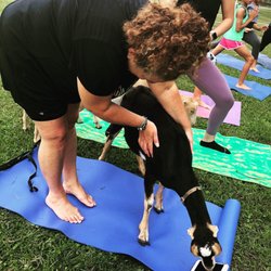Downward Goat
