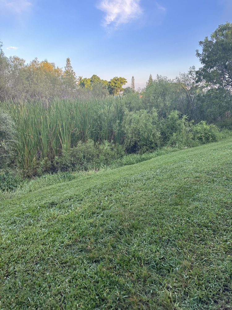 MEADOW LAKES APARTMENTS Updated October 2024 22 Photos & 16 Reviews