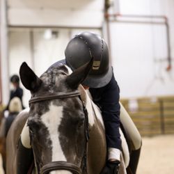 Dapple Hill Farm - lots of horsie cuddles