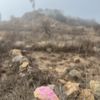 Mother Miguel Mountain Trail gift card