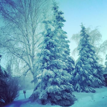 Wedgewood Resort - Resorts Near Me - Fairbanks, Alaska