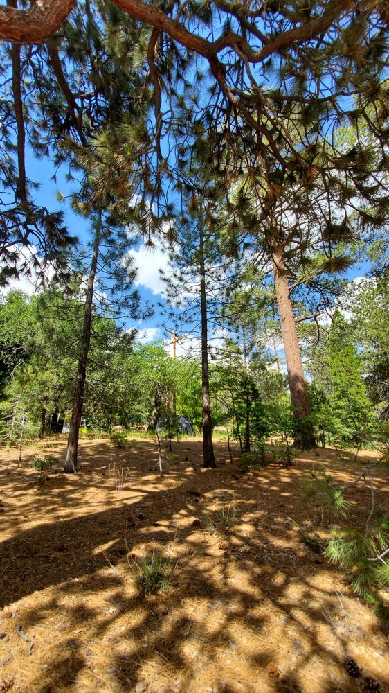 MOUNTAIN OAK CAMPGROUND 33 Photos & 25 Reviews Campgrounds 22223