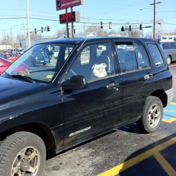 Walgreens - a dog sitting in the passenger seat of a vehicle - Drugstores Near Me - Springfield, Missouri Walgreens - a dog sitting in the passenger seat of a vehicle - Drugstores Near Me - Springfield, Missouri