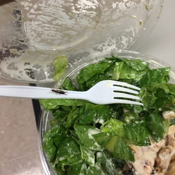 Antonino's - Italian Near Me - Manhasset, New York Antonino's - Italian Near Me - Manhasset, New York