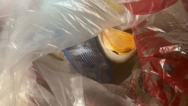 Safeway Bakery by null