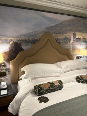 The Killarney Park by null