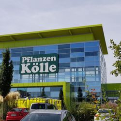 Pflanzen Kölle