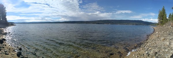 Ponderosa State Park by null