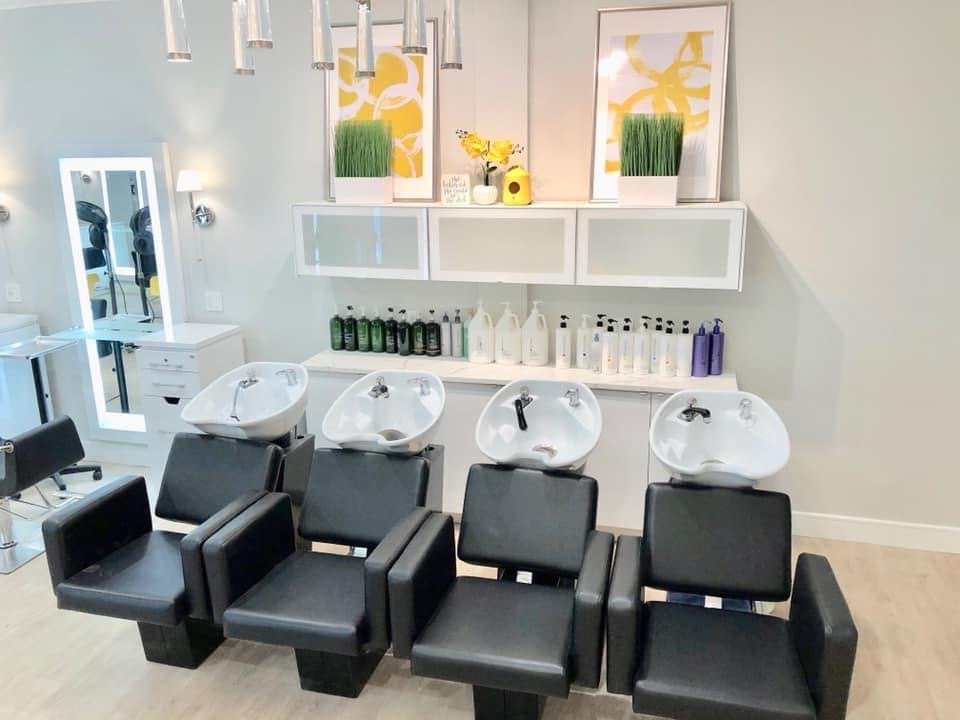 SILVI SALON Updated August 2024 815 Williams St, Longmeadow