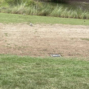 TPC Myrtle Beach - Golf Near Me - Murrells Inlet, South Carolina