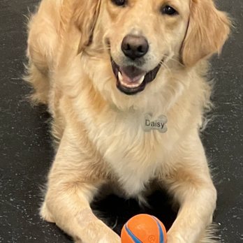 FUReverFUN Dog Care Services - Pet Boarding Near Me - San Francisco, California FUReverFUN Dog Care Services - Pet Boarding Near Me - San Francisco, California
