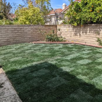 Jose The Gardener - After - Landscaping Near Me