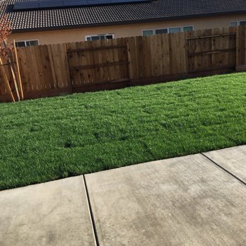 Salen's Landscaping - Landscaping Near Me - Elk Grove, California Salen's Landscaping - Landscaping Near Me - Elk Grove, California