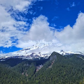 Mount Rainier National Park - 06.11.22 - Mt. Rainier - Parks Near Me - Ashford, Washington Mount Rainier National Park - 06.11.22 - Mt. Rainier - Parks Near Me - Ashford, Washington