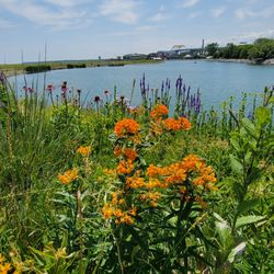Lakeshore State Park
