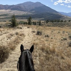 Elk River Outfitters