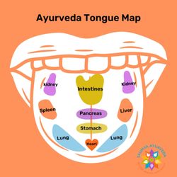 Saumya Ayurveda