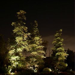Tilley's Sprinklers & Landscaping