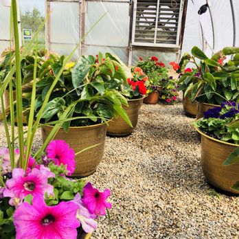 C & K Greenhouse - Wide Variety - Home & Garden Near Me - Fremont, Indiana C & K Greenhouse - Wide Variety - Home & Garden Near Me - Fremont, Indiana