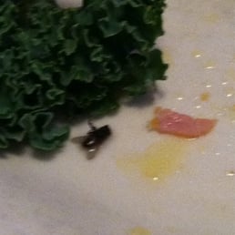 Not a great feeling to find this under the garnish at the end of your meal