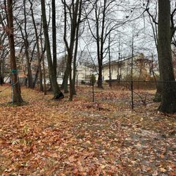 Imperial Fence