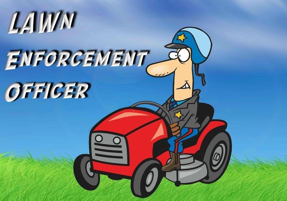 LAWN PATROL Updated September 2024 4008 N Grimes St, Hobbs, New