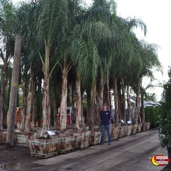 Moon Valley Nurseries 2019 All You Need To Know Before Go Moon Valley Nurseries 2019 All You