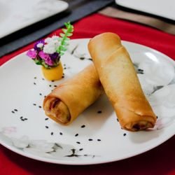 Zohe - Rollo Zohe