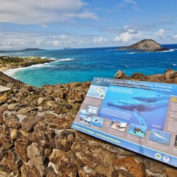 Kealoha Tours - Makapu'u Light House Trail Hike