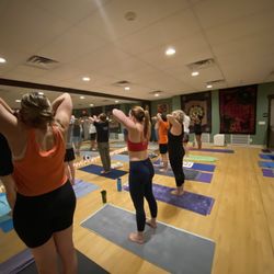 Twisted Root Yoga and Wellness