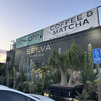 Selva Coffee House - Coffee & Tea Near Me - Del Mar, California