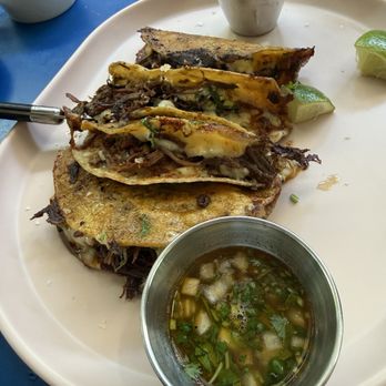 Mister Oso - Quesabirria tacos - Tacos Near Me - Denver, Colorado Mister Oso - Quesabirria tacos - Tacos Near Me - Denver, Colorado