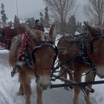 2 Below Zero Dinner Sleigh Rides - New American Near Me - Frisco, Colorado
