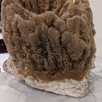 Mr Souvlaki - sponge on coral by door - Greek Near Me - Tarpon Springs, Florida