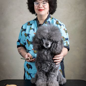Up to Snuff - Pet Groomers Near Me - Memphis, Tennessee Up to Snuff - Pet Groomers Near Me - Memphis, Tennessee