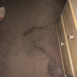 Bed Bug Treatment Options Ehrlich Pest Control Formerly Connor S