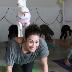 Goga Goat Yoga