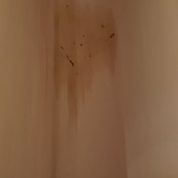 Spectrum - Turquoise Place - Any guesses what's on the curtains? - Vacation Rental Agents Near Me - Orange Beach, Alabama