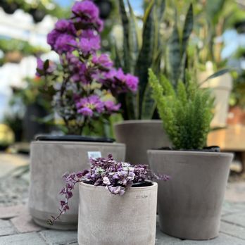 Botanix Levert Paysage - Pot et arrangement - Nurseries & Gardening Near Me - Mont-Blanc, Quebec